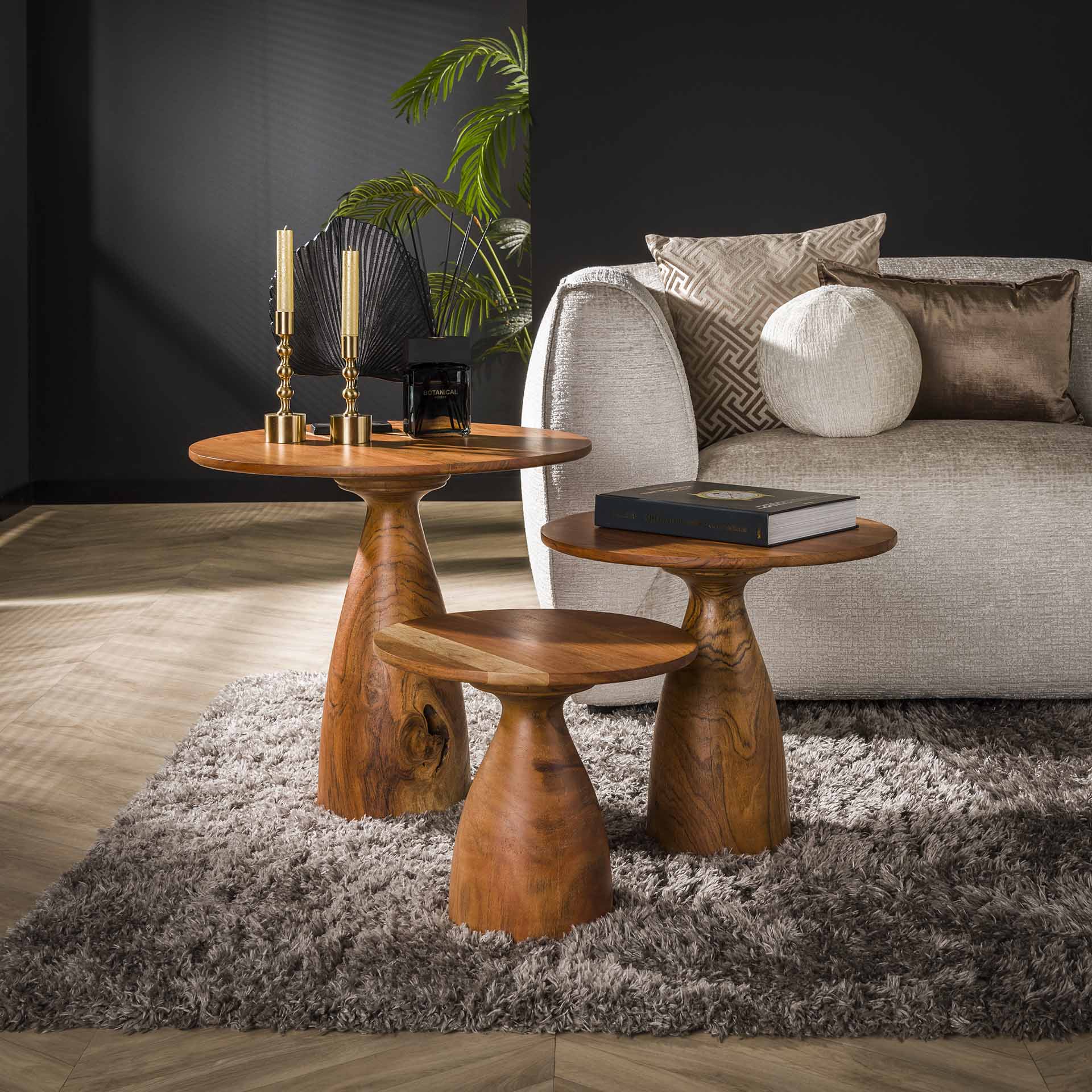 Salontafel Genesis - Lichtbruin - Acaciahout - Set van 3