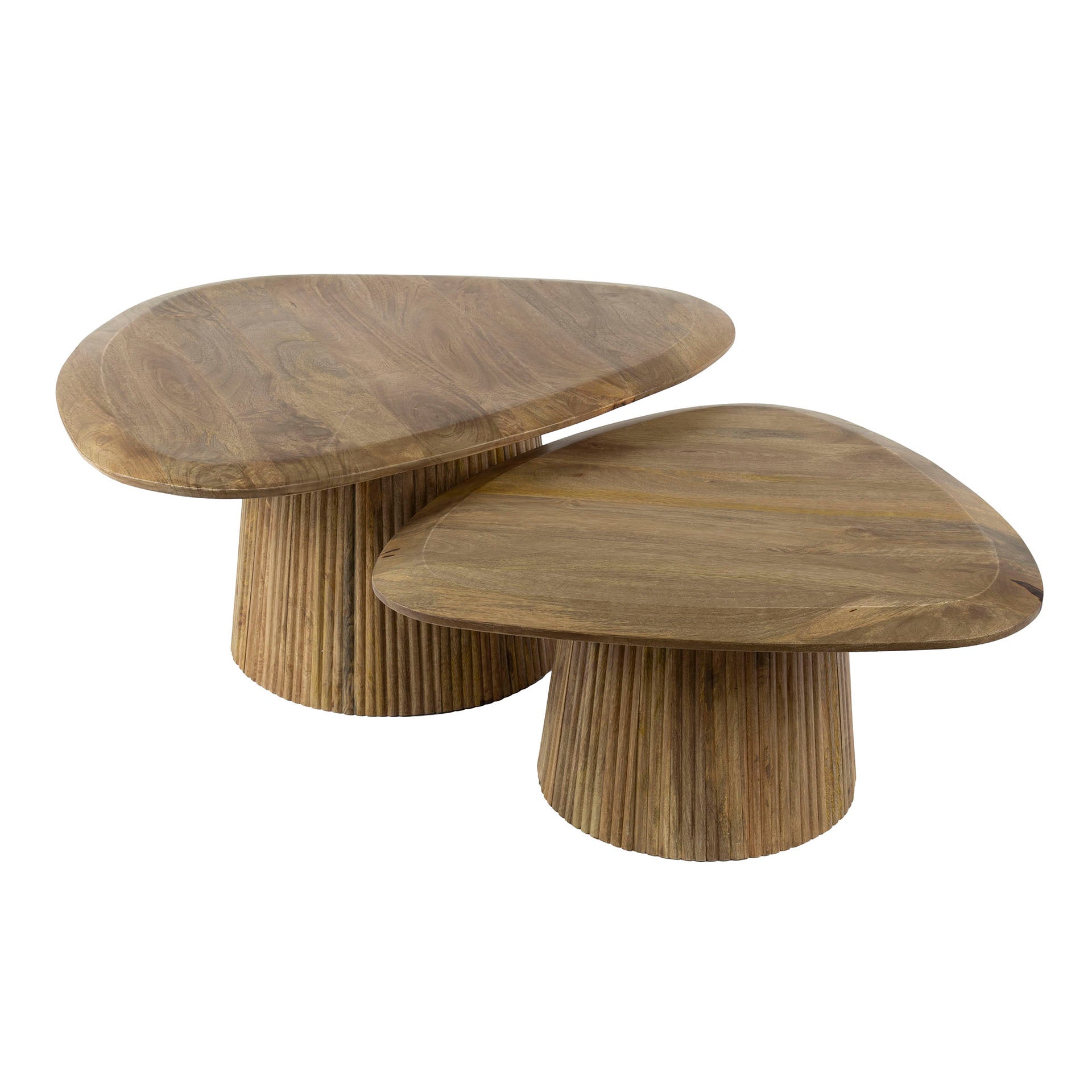 Salontafel Harmony - Organisch - Bruin - Mangohout - Set van 2