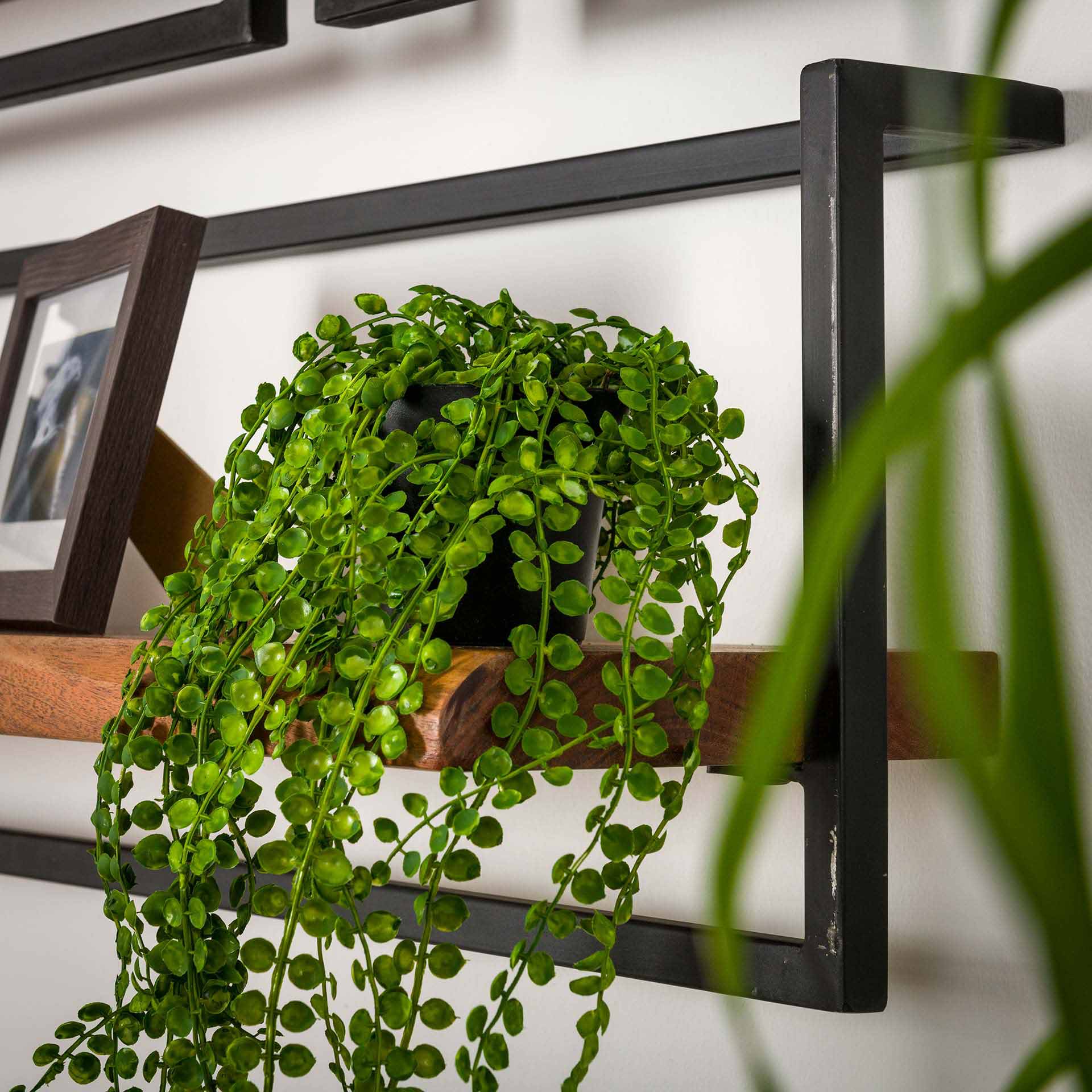 Wandplank Jacob - Bruin - Acaciahout - 20 cm
