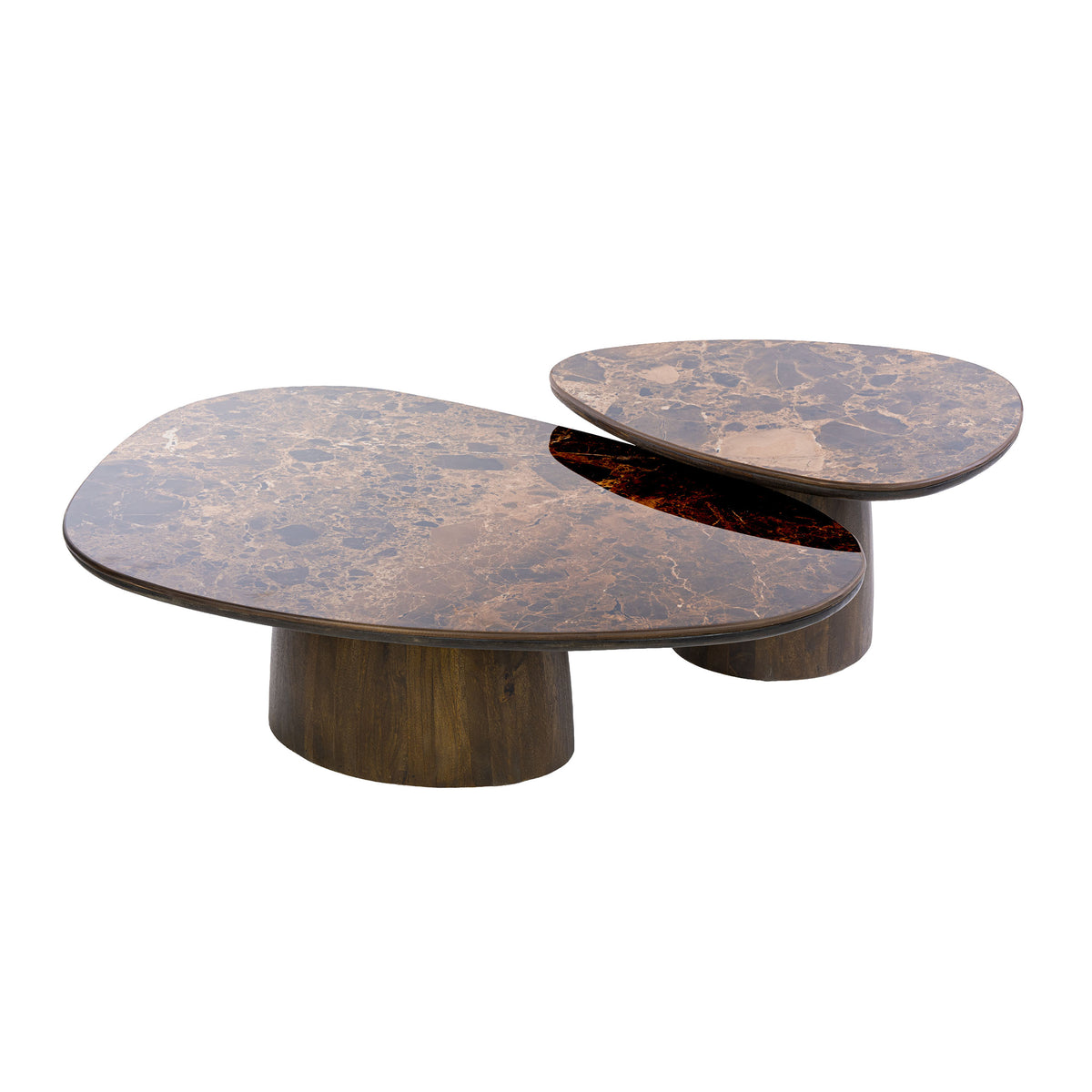 Salontafel Alissa - Organisch - Keramiek - Mangohout - Set van 2
