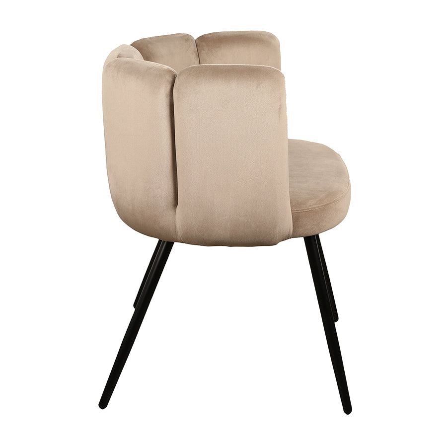 Eetkamerstoel Elara - Taupe - Velvet