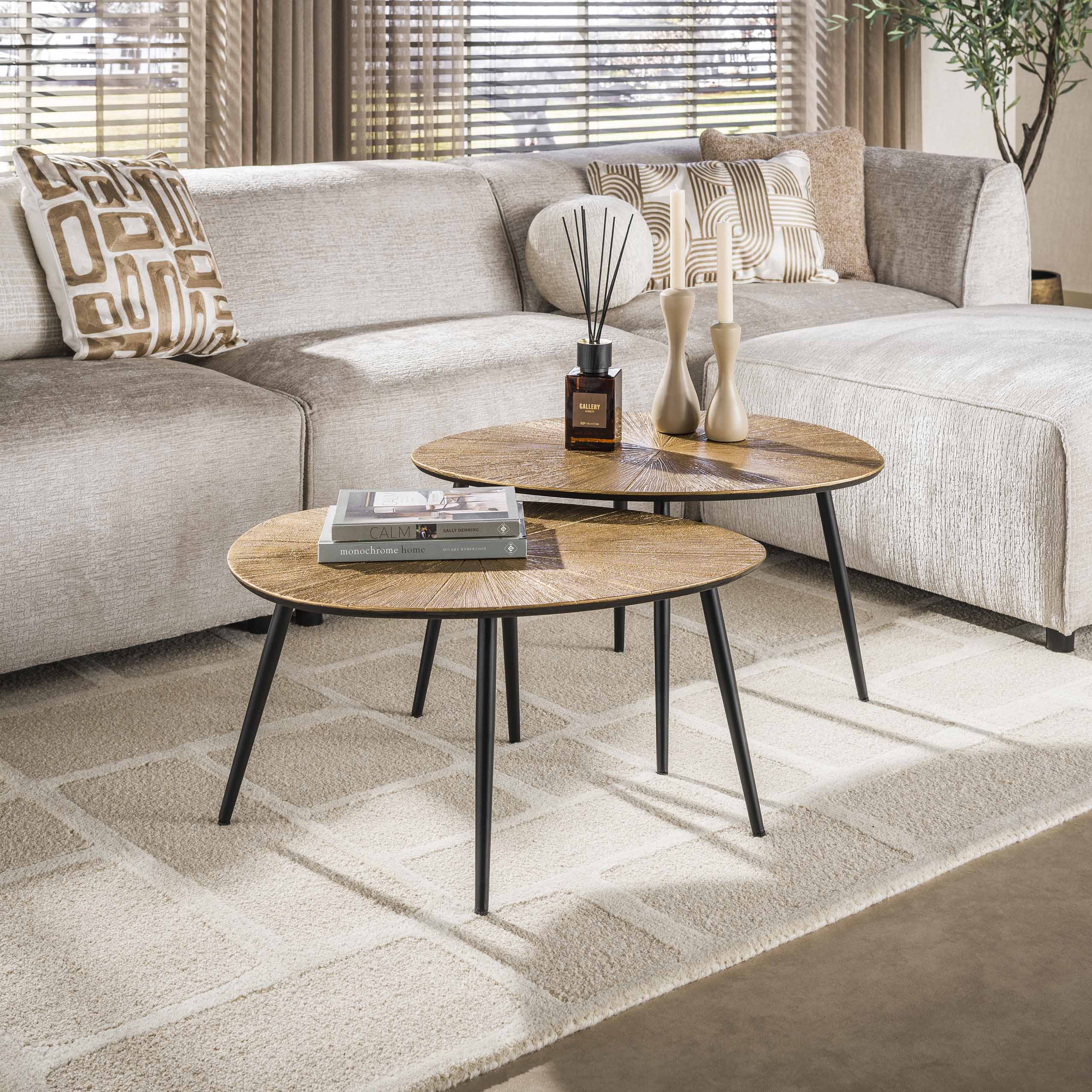 Salontafel Lumira - Organisch - Goud - Set van 2