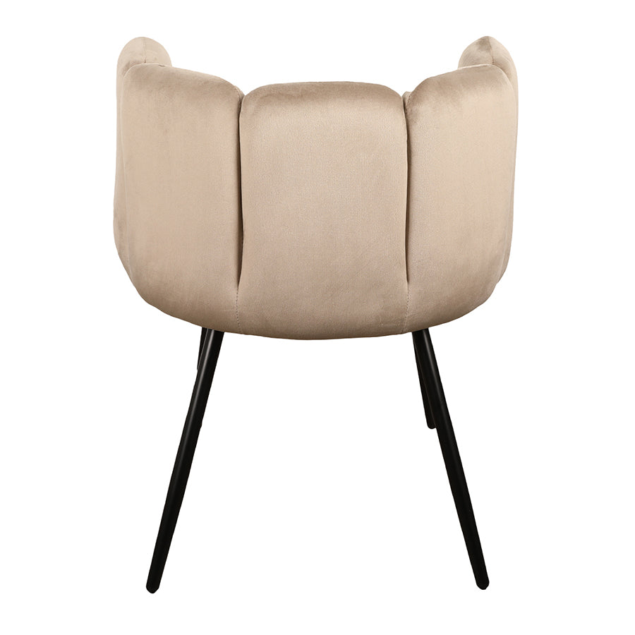 Eetkamerstoel Elara - Taupe - Velvet