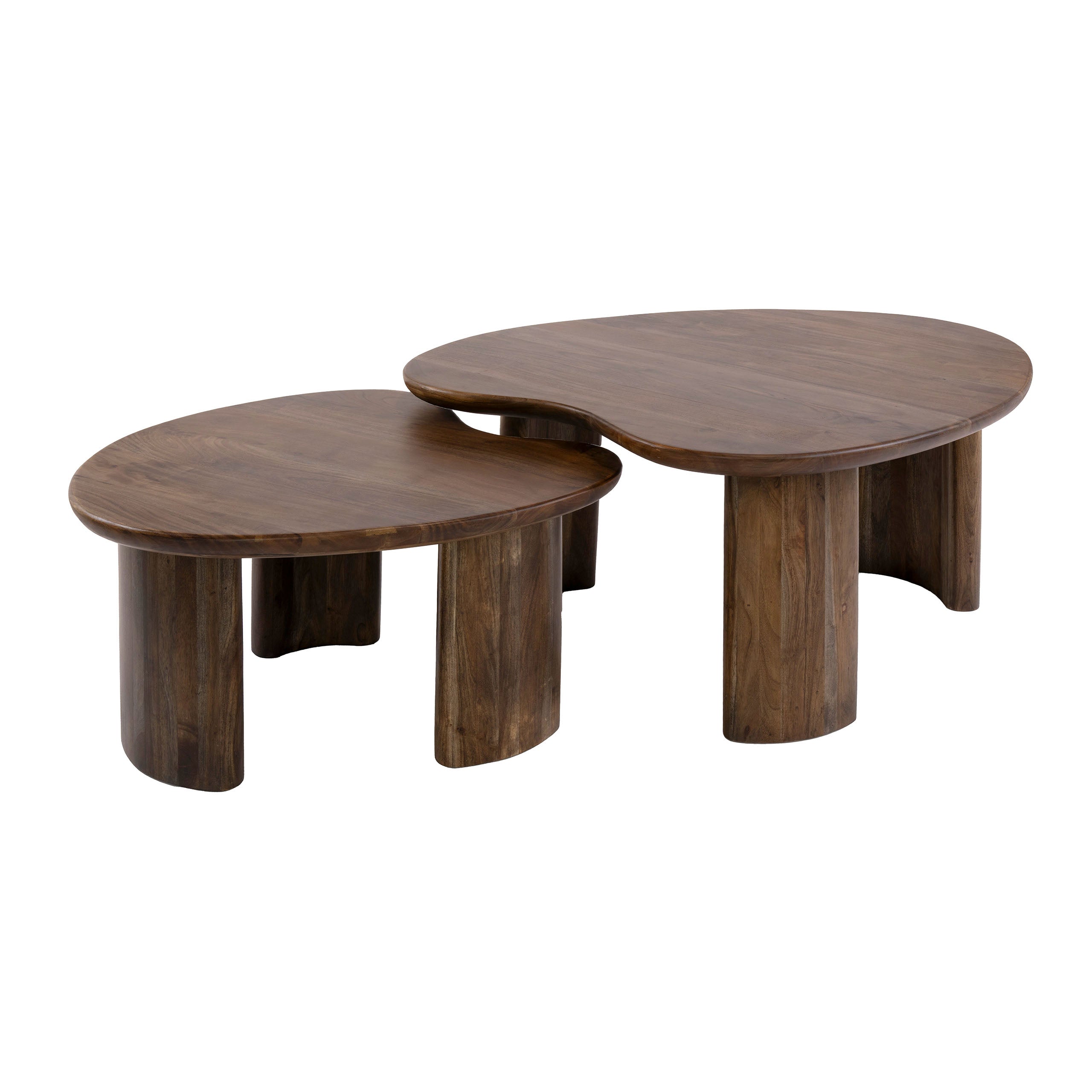 Salontafel Alva - Organisch - Acaciahout - Set van 2