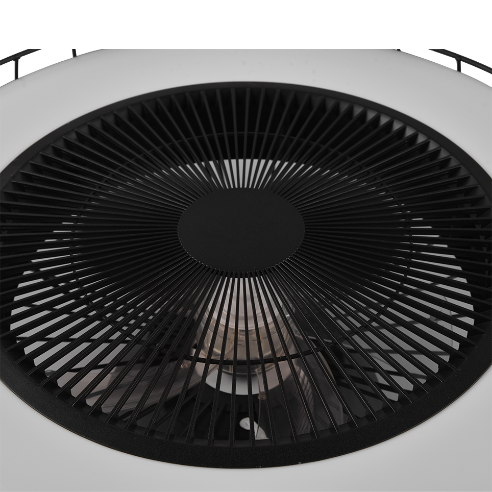 Plafondventilator Fien - Met Lamp - Zwart - Dimbaar - Koud + Warm