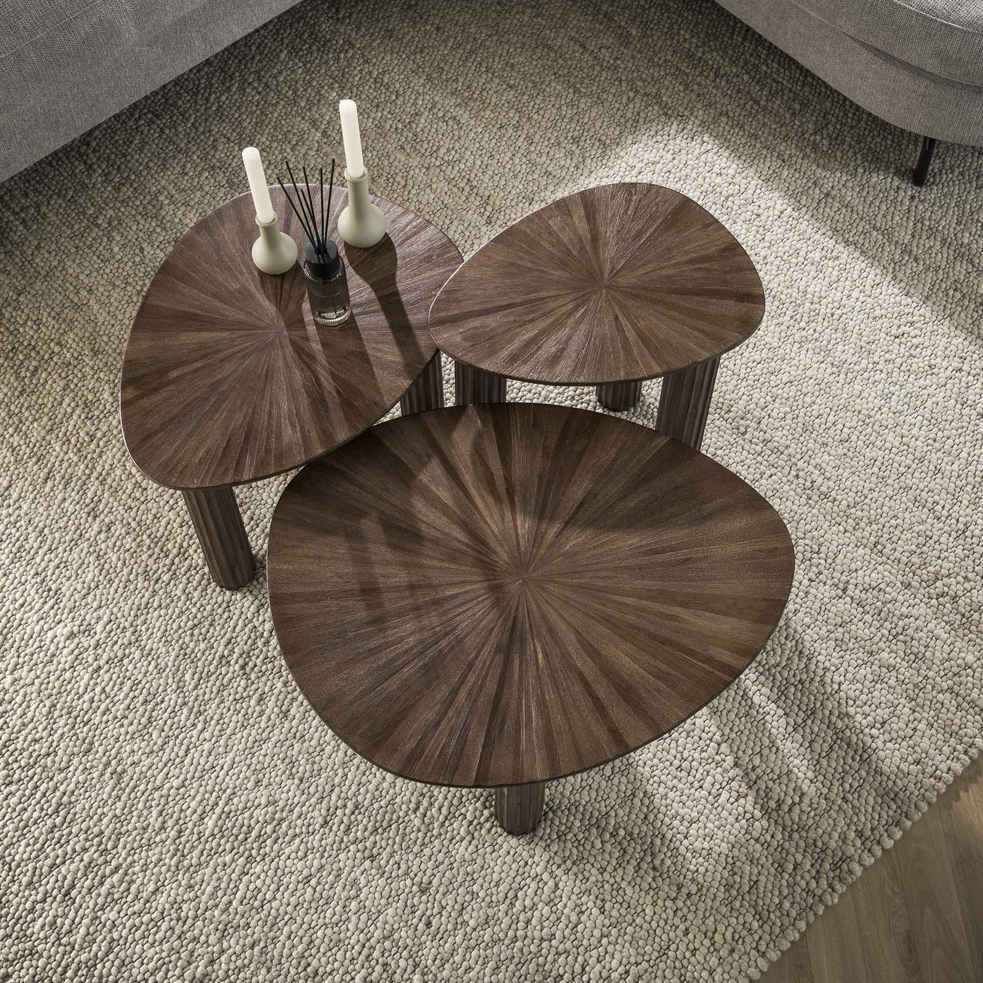 Salontafel Serova Organisch Teakhout Set van 3 Meubelista Detail