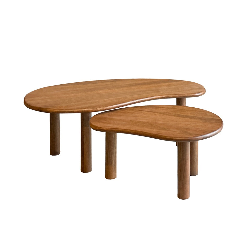 Salontafel Nubi - Bruin - Organisch - Mangohout - Set van 2