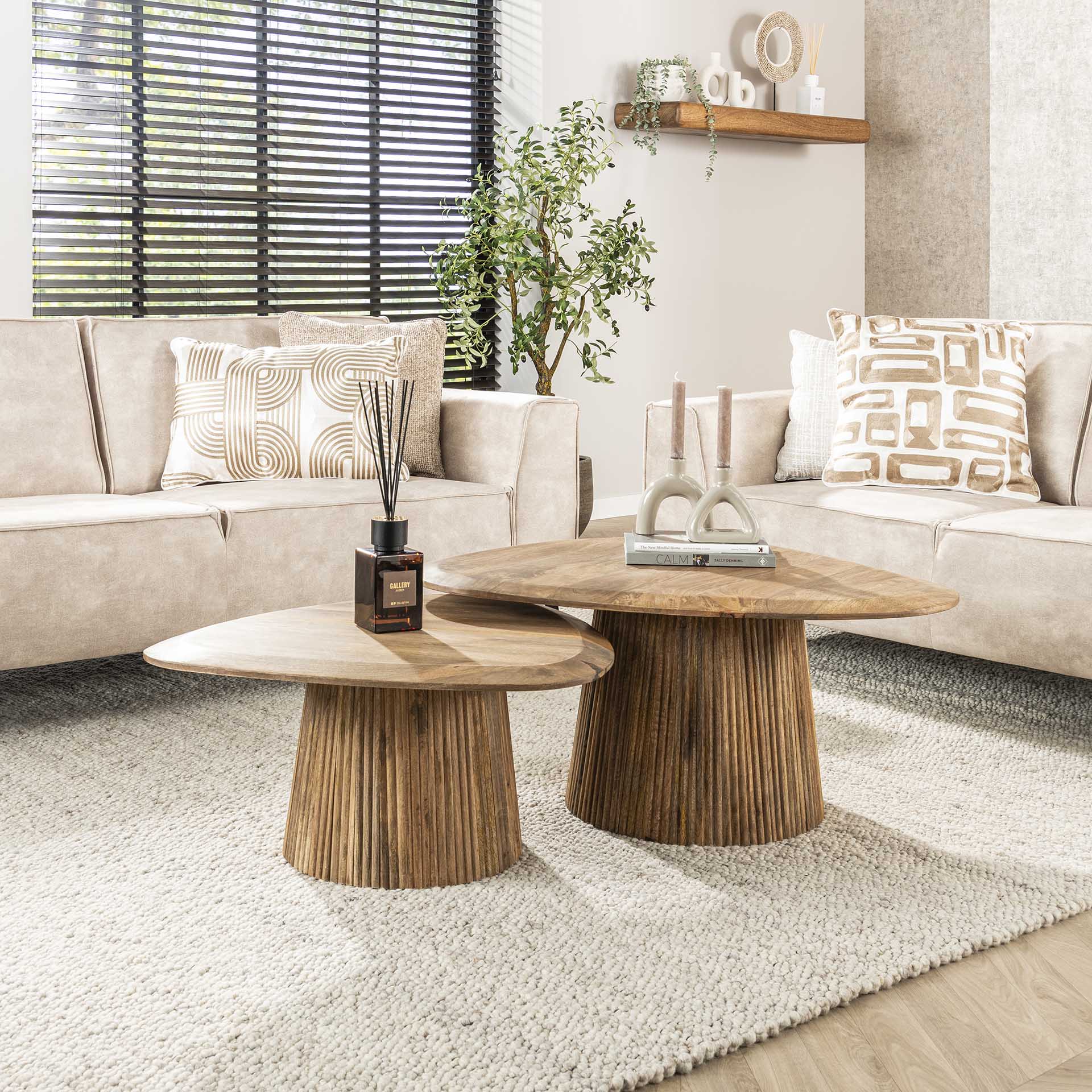 Salontafel Harmony - Organisch - Bruin - Mangohout - Set van 2