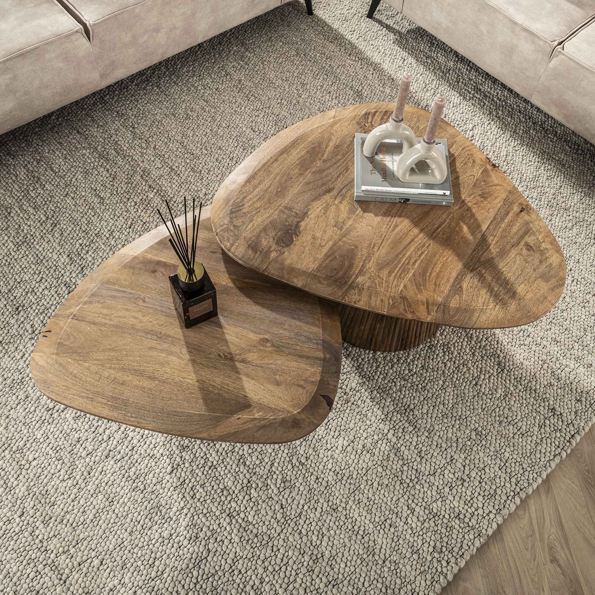 Salontafel Harmony - Organisch - Bruin - Mangohout - Set van 2